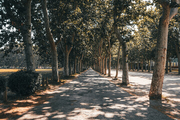 Park path during day light