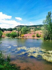 Obraz premium lake in the forest