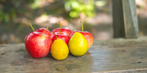 Delicious country apples and pears on the bench with the space for your text, selective focus, beautiful blur.