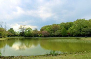 Fototapeta na wymiar 穏やかな春の日　新緑　風景