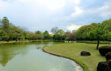 穏やかな春の日　新緑　風景