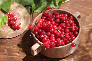 Bunches of fresh harvested red currant berries in a deep plate
