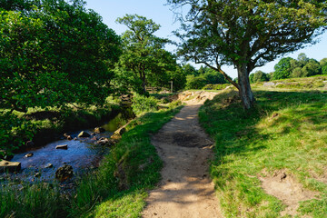 Fototapeta na wymiar Rugged path besides Burbage Brook leads to a wooden bridge