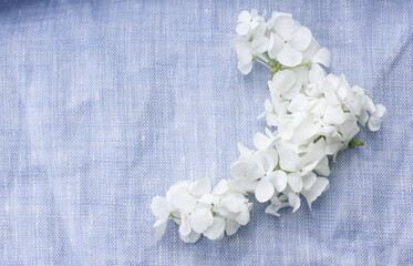 Hair decoration made of fresh flowers of white hydrangea on blue linen.