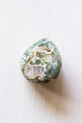 Pierre roulée polie agate arbre, agate dendritique sur un fond blanc - Minéral naturel