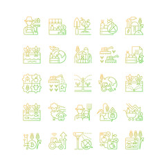 Agriculture related gradient linear vector icons set. Growing vegetables and fruits, Agricultural technology. Thin line contour symbols bundle. Isolated vector outline illustrations collection - obrazy, fototapety, plakaty
