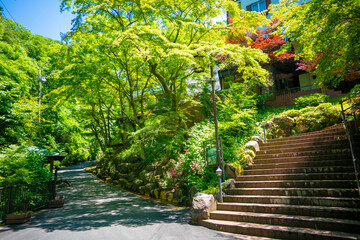 群馬県渋川市伊香保町の伊香保温泉に旅行する風景 Scenery of a trip to Ikaho Hot Springs in Ikaho-machi, Shibukawa City, Gunma Prefecture.