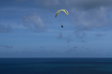 paraglider