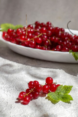 Bunches of red currants on a light table on a bright sunny day