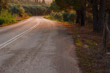 autumn country side road park outdoor landscape photography in orange colors light from sunset
