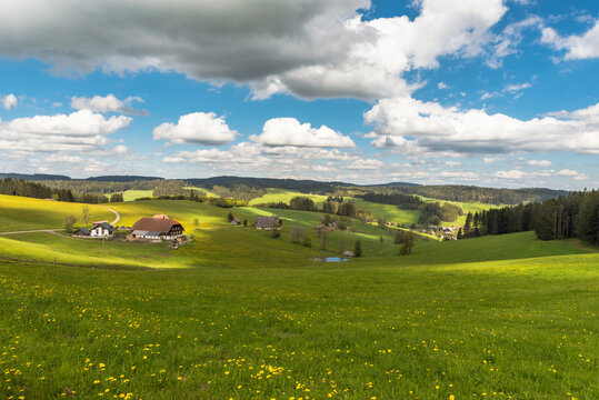 H&uuml;gellandschaft im Schwarzwald mit Bauernh&auml;usern und Blumenwiesen, Jostal bei Titisee-Neustadt, Baden-W&uuml;rttemberg, Deutschland