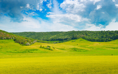 hills and Blue sky. Idyllic rural view of pretty farmland.