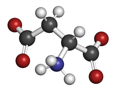 D-aspartic acid (D-aspartate) amino acid molecule. 3D rendering.