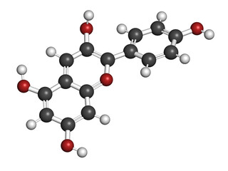 Pelargonidin pigment molecule. 3D rendering.