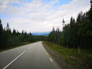 Fototapeta premium road in the mountains
