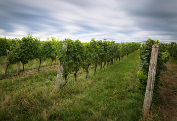 Fototapeta na wymiar Dark clouds long exposure at a vineyard in burgenland