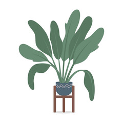 Potted tropical plant with large leaves semi flat color vector object. Full sized item on white. Low-maintenance houseplant isolated modern cartoon style illustration for graphic design and animation