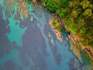 Aerial drone vertical view of a forest meeting the turquoise water of the sea.