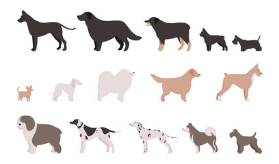 Obraz premium Set of Isolated vector illustrations of different dog breeds