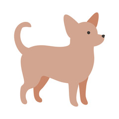 Isolated vector illustration of a Chihuahua dog