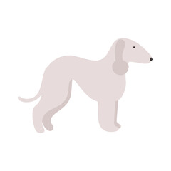 Isolated vector illustration of a Bedlington terrier dog