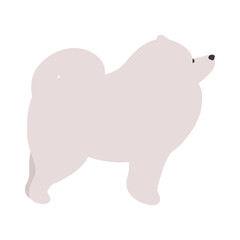 Isolated vector illustration of a Samoyed dog