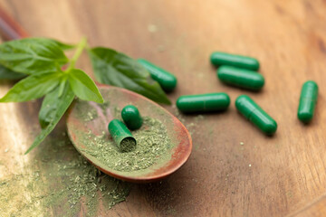 Leaf Green chiretta and green capsule and a wooden spoon and  Green chiretta powder.on a wooden background. Andrographis paniculata.