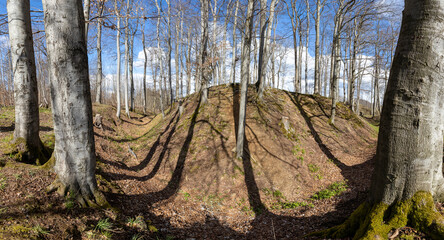 Bodendenkmal Erichsburg Burgen und Schlösser im Harz