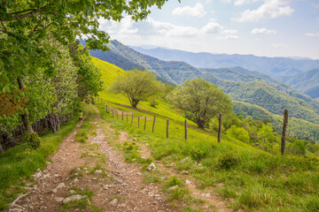 Fototapeta na wymiar Natural landscape in springtime on Pian della Cavalla mount in Liguria, in the municipality of Fascia, Genoa province, Italy