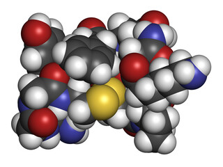 Terlipressin drug molecule. 3D rendering.