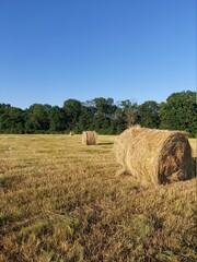 haystacks in the field