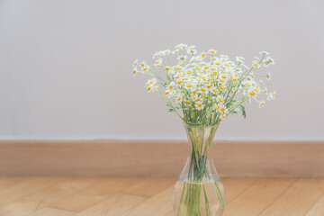 Chamomile and Matricaria flowers in a vase