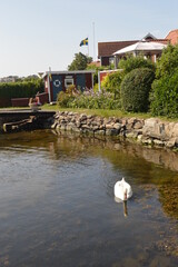 Charming red Swedish style cottages in beautiful nature