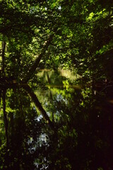 Hiking the charming old path Skåneleden in stunning scenery with grassy hills and meadows in Southern Sweden