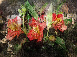 A bouquet of red and white flowers with large green leaves. Alstroemeria is commonly called the Peruvian lily or lily of the Incas. Digital watercolor painting. Modern art.