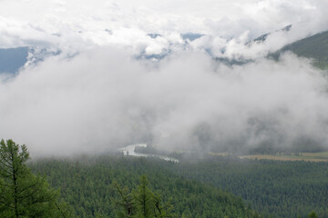 Fototapeta premium fog over mountain's forest