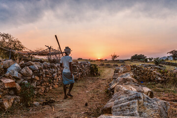 Farmer India Sunset © David