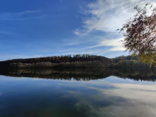 Foto op Canvas Beautiful lake in summer Black Forest Germany © sergiusphoto