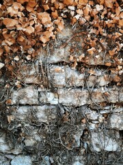 stone wall texture