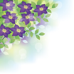 紫のクレマチスの花背景イラスト