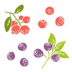 Blueberry and lingonberry. Colorful paper cut collection of fruits and berries isolated on white background. Doodle hand drawn fruits. Vector illustration