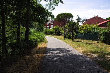 An asphalted pedestrian path in the middle of a public park (Marche, Italy, Europe)