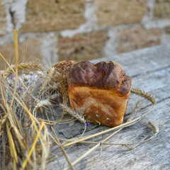 still life with bread and stalks of cereal plants