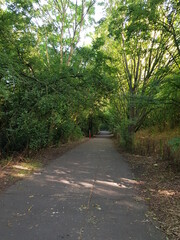 Green path on the way to park, summer 2021