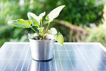 Plant pot with photo solar panel clean natural energy concept.