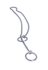 ring chain for dogs isolated