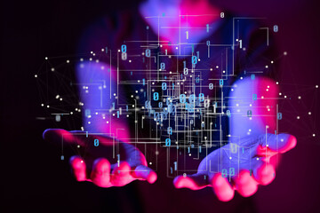 Telecommunication network and wireless mobile internet