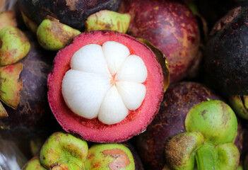 Group of Mangosteen with firm white pulp from organic garden delicious taste of fruit of Thailand famous