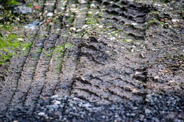Tyre trace on the ground