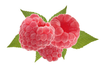  Raspberry isolated on white background